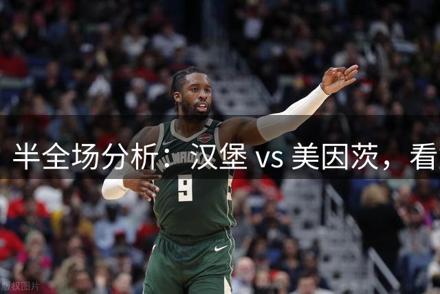 半全场分析：汉堡 vs 美因茨，看好美因茨拿下汉堡