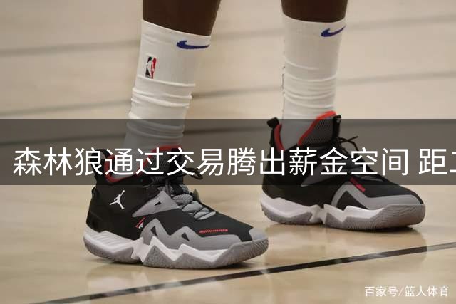 森林狼通过交易腾出薪金空间 距二土线一步之遥